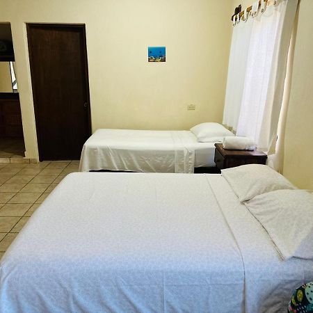 Cabo Pulmo Bungalow Cirujano 아파트 외부 사진