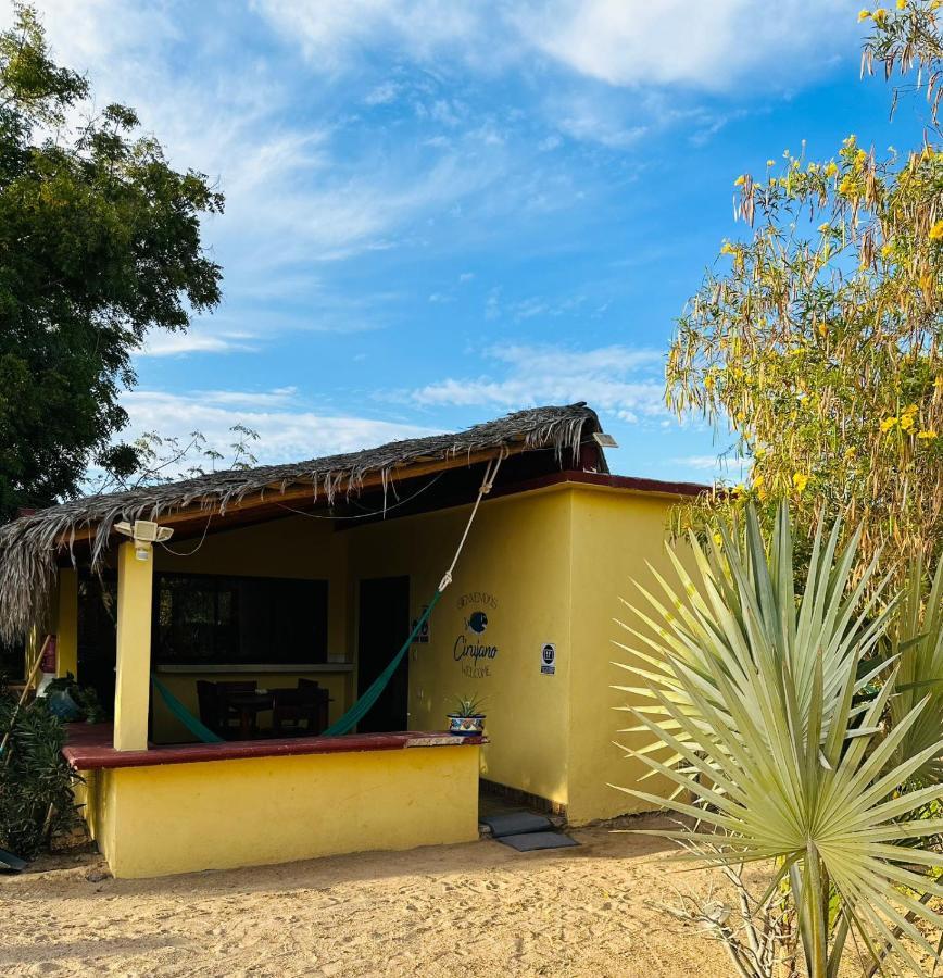 Cabo Pulmo Bungalow Cirujano 아파트 외부 사진