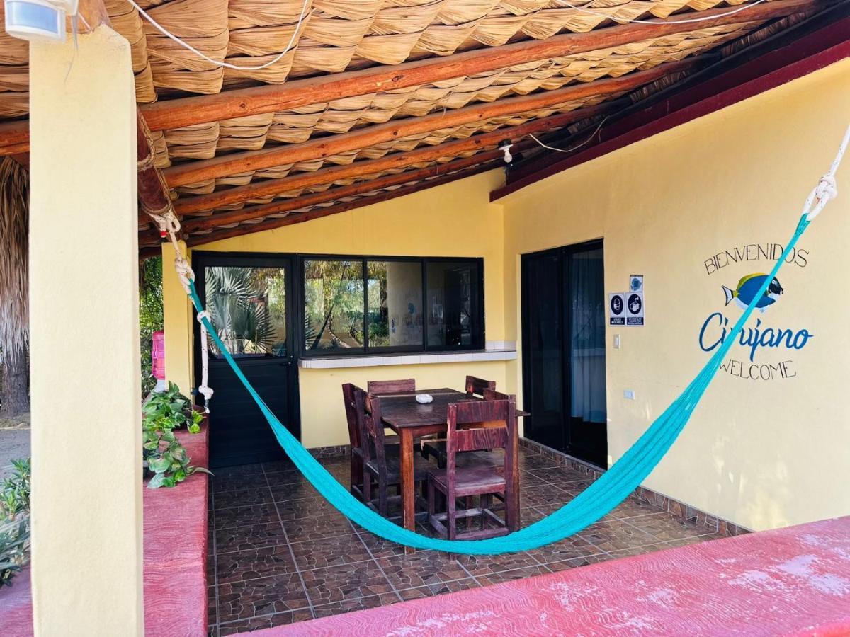 Cabo Pulmo Bungalow Cirujano 아파트 외부 사진